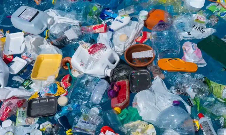 Read more about the article Plastic Waste Policy Failures and Some Solutions